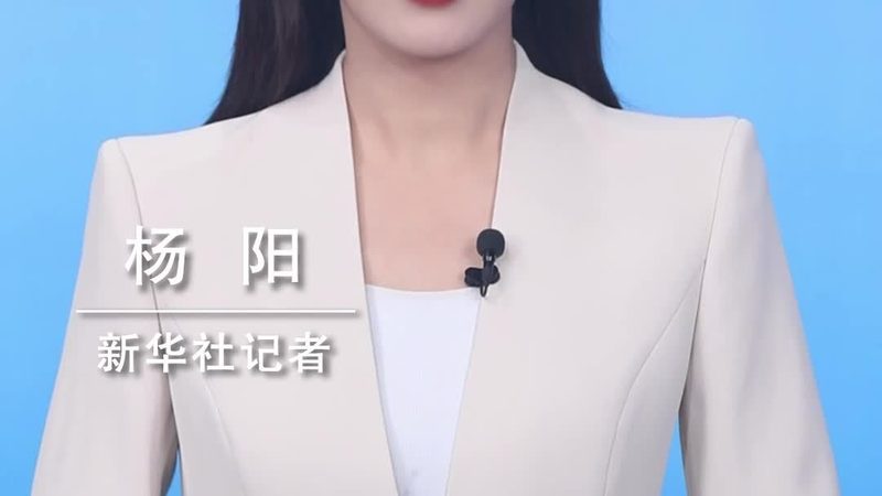 机器学习平台选型的核心考量因素